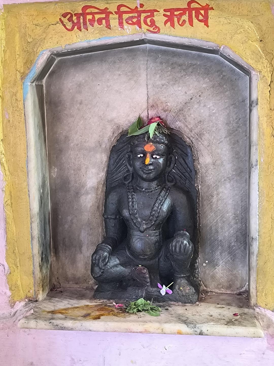 Devotees Collage