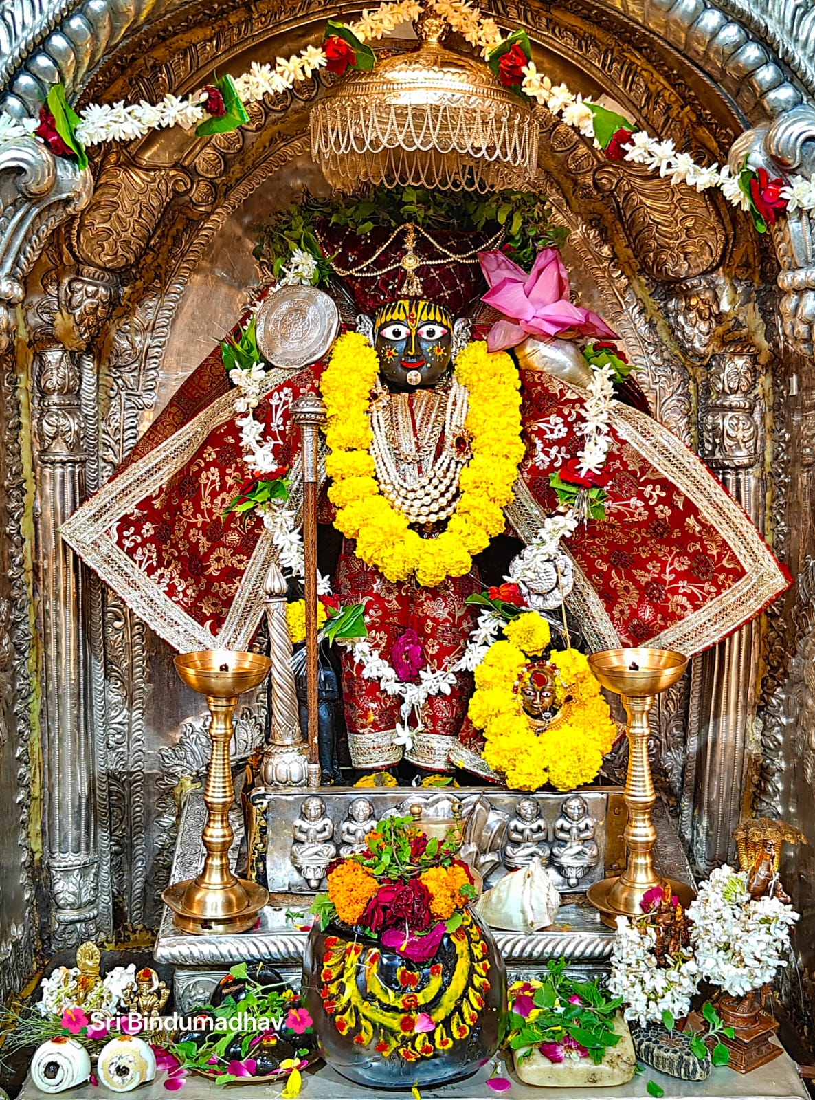 Gallery Image 12